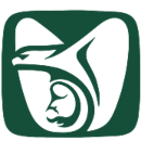 Pensión IMSS
